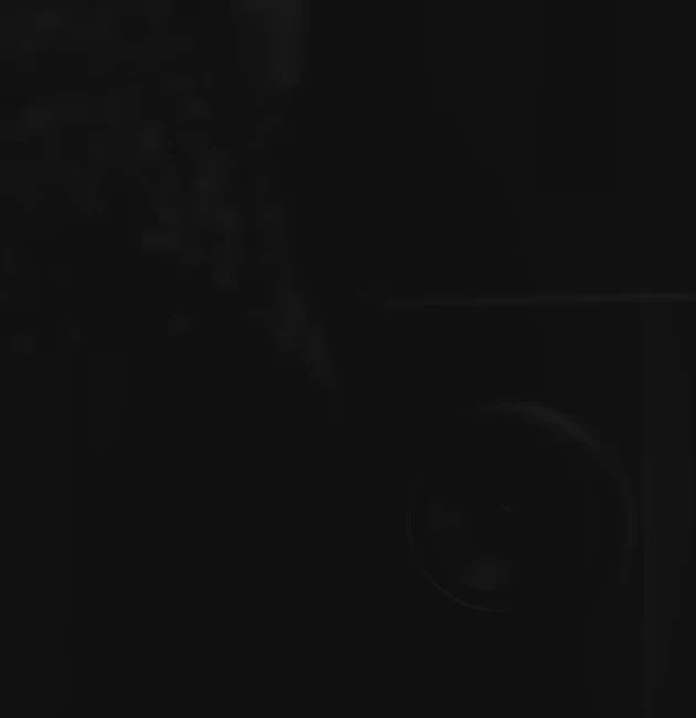 New AI Camera with Light for All-Day Monitoring